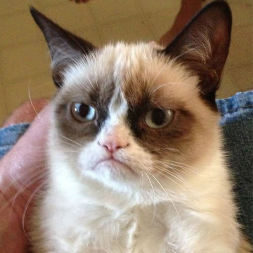 grumpy