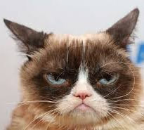 grumpy cat