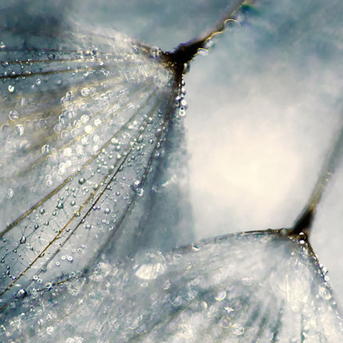 zoom image